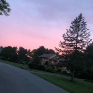 Meet your Posher, Ellie